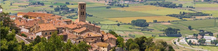 Cortona hillside