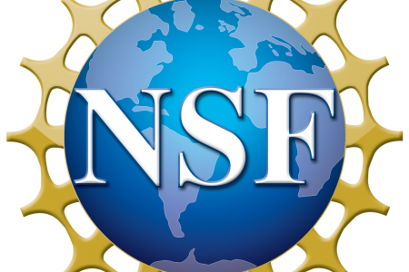 ROML linguists awarded NSF grant